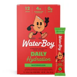 Waterboy Daily Hydration Dietary Supplement Powder - Watermelon - 12pk