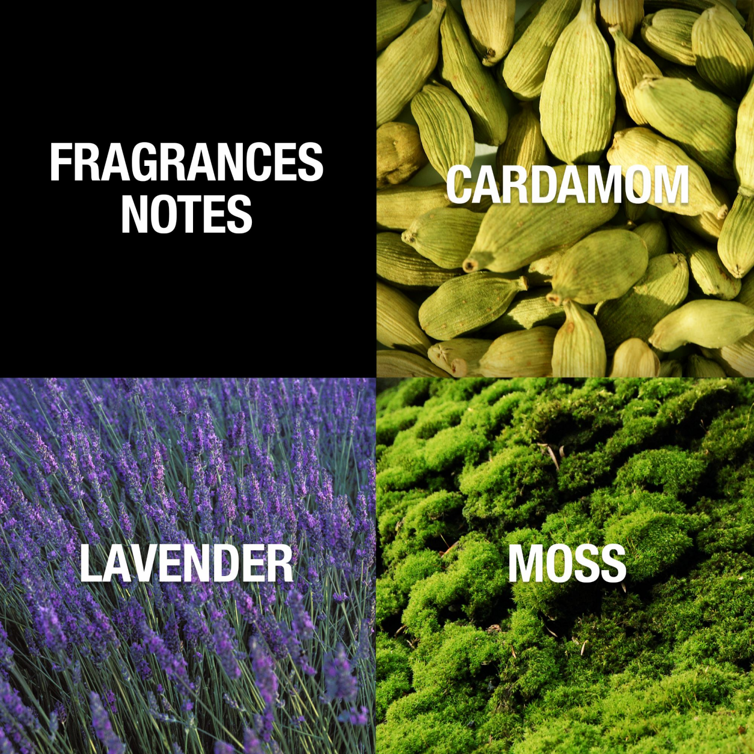 slide 3 of 4, Ed Hardy Skulls & Roses EDT Mens, 1 oz