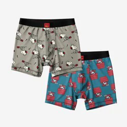 Peanuts Men's Snoopy Boxer Briefs 2pk - Light Gray/Blue XL