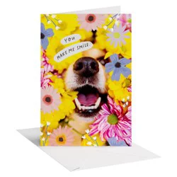American Greetings Birthday Card for a Friend, You Make Me Smile, Includes Envelope