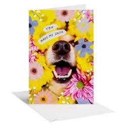 American Greetings Birthday Card for a Friend, You Make Me Smile, Includes Envelope