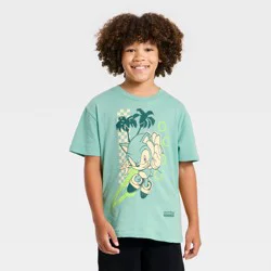 Boys' Sonic the Hedgehog Short Sleeve Graphic T-Shirt - Blue L