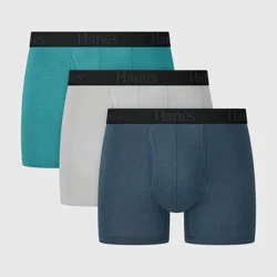 Hanes Men's 3pk Boxer Briefs - Gray XL