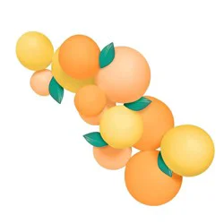 MINNIDIP Balloon Garland 12 Cluster in Citrus