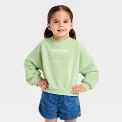 Grayson Mini Toddler Girls' Montauk French Terry Pullover Sweatshirt - Green 4T