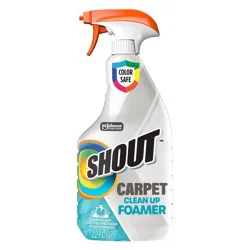Shout Color Safe Carpet Cleaner Spray Foam - Stain Remover and Deodorizer - 22 fl oz
