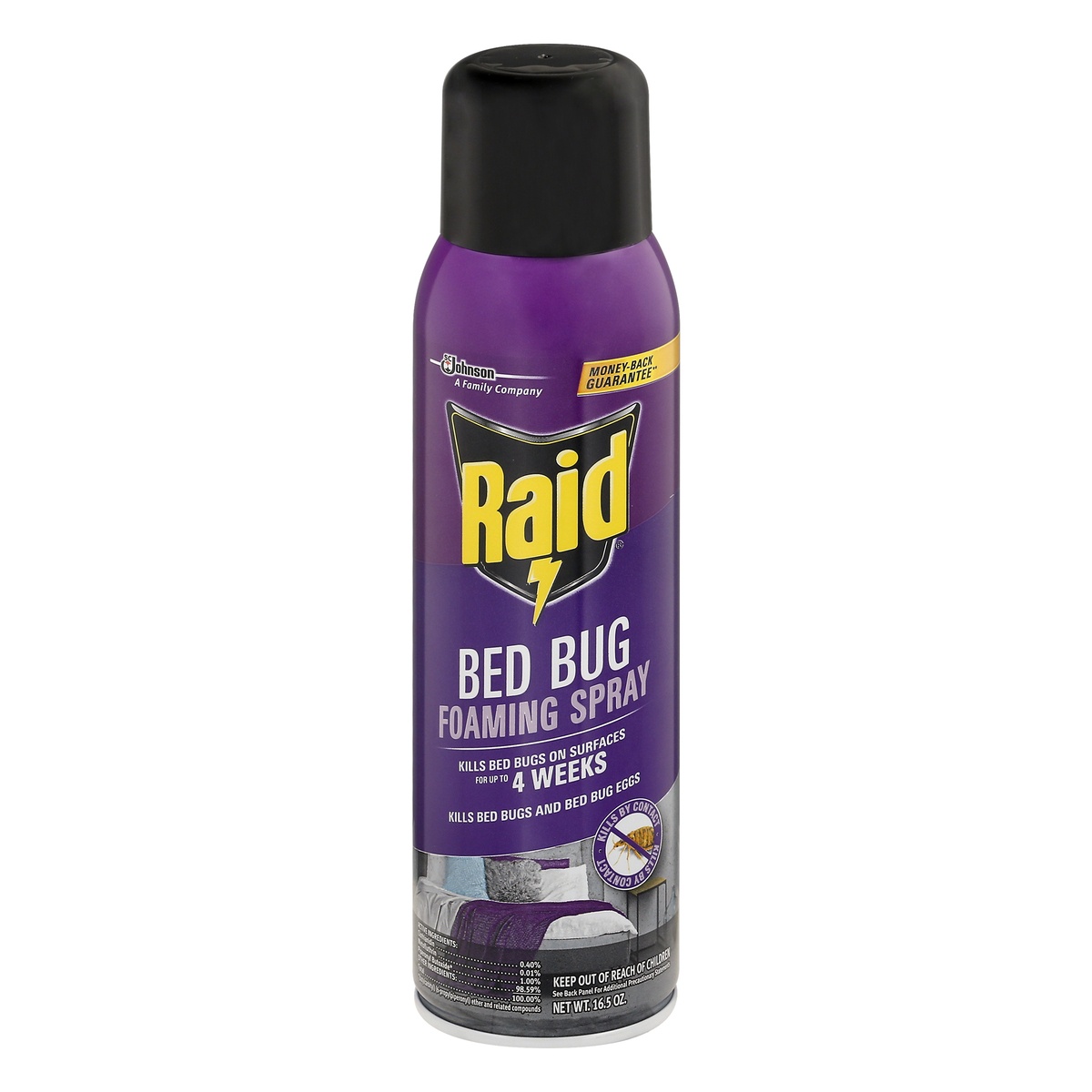 slide 1 of 7, Raid Bed Bug Foaming Spray, Indoor Insecticide Kills Bed Bugs & Eggs, 16.5 oz, 16.5 oz
