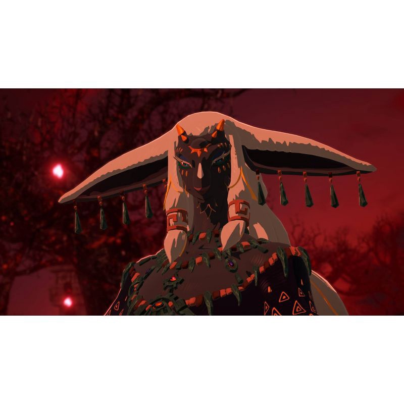 slide 7 of 7, Hyrule Warriors: Age of Imprisonment - Nintendo Switch 2, 1 ct