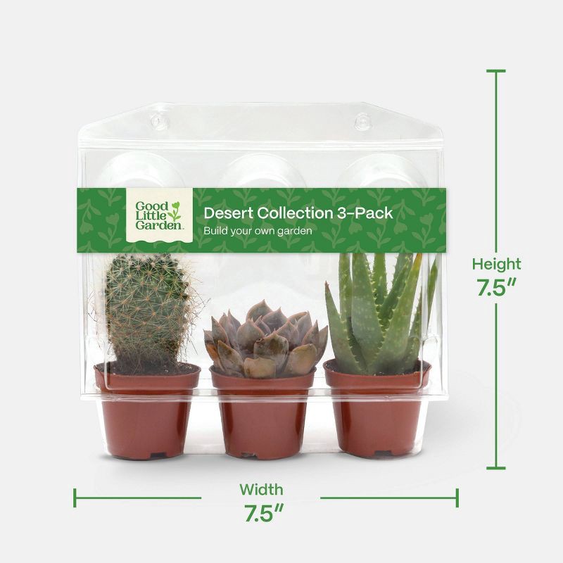 slide 4 of 6, Live Succulent and Cactus Desert Collection - 3pk - Good Little Garden™, 3 ct