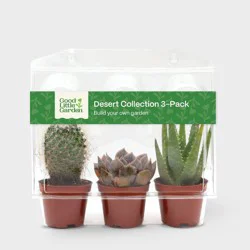 Live Succulent and Cactus Desert Collection - 3pk - Good Little Garden™