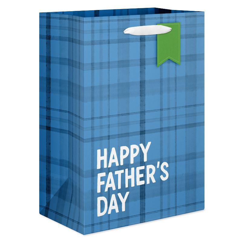 slide 1 of 4, American Greetings Large Father's Day Gift Bag, Blue Plaid 1 Bag 13"x10", 1 ct