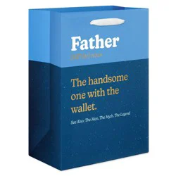 American Greetings Father's Day Large Gift Bag Father Definition Blue
