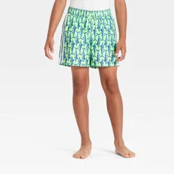 Boys' Swordfish Swim Trunks with Built in Boxers - art class™ Green S