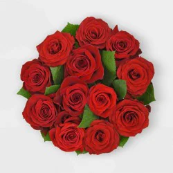 Dozen Fresh Cut Red Roses - Good Little Garden™