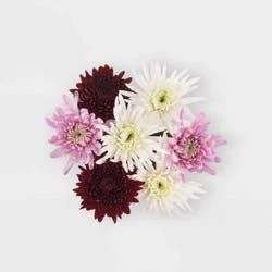 Fresh Cut Rainbow Disbud Flowers - Good Little Garden™