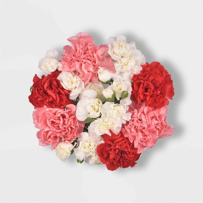 slide 3 of 9, Fresh Cut Valentine's Day Rainbow Carnation Bunch - Good Little Garden™, 1 ct