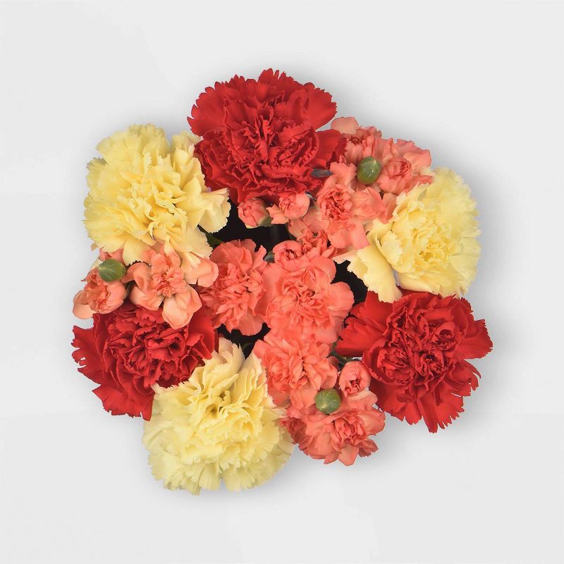 slide 5 of 9, Fresh Cut Valentine's Day Rainbow Carnation Bunch - Good Little Garden™, 1 ct