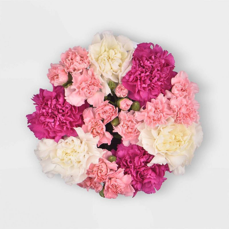 slide 6 of 9, Fresh Cut Valentine's Day Rainbow Carnation Bunch - Good Little Garden™, 1 ct