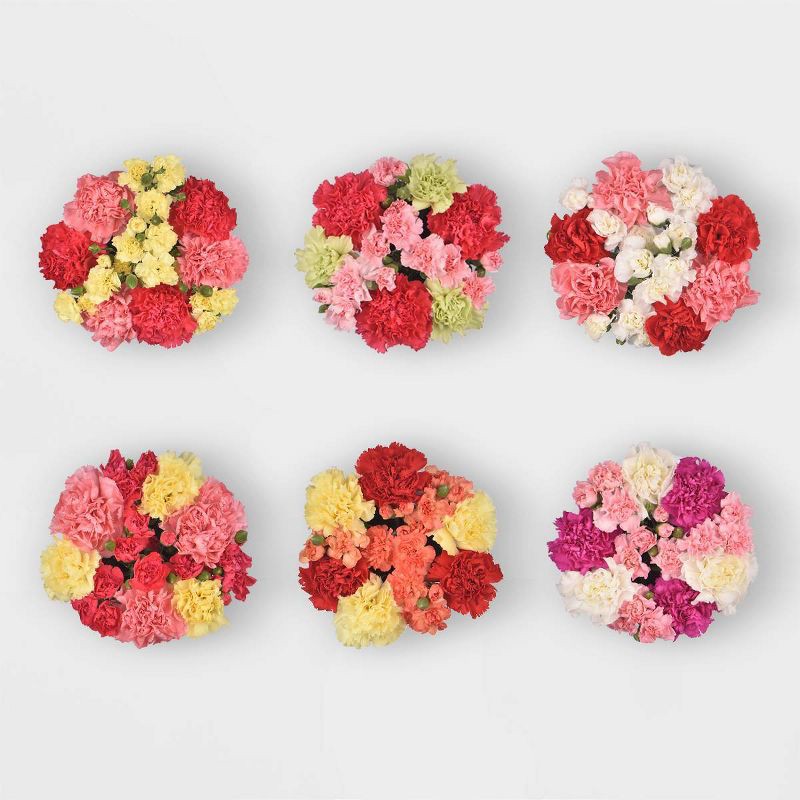 slide 7 of 9, Fresh Cut Valentine's Day Rainbow Carnation Bunch - Good Little Garden™, 1 ct
