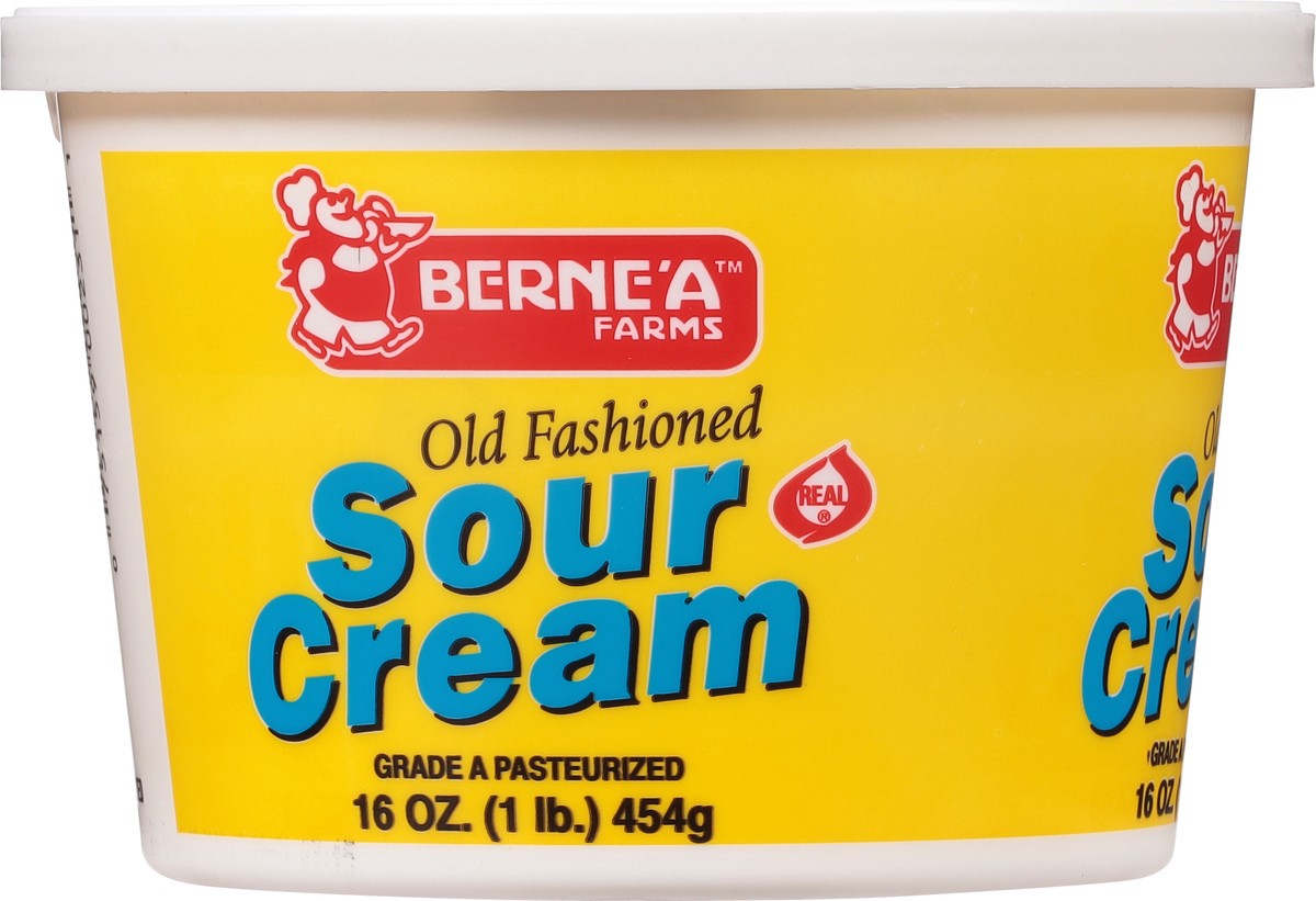 slide 3 of 14, Berne'a Farms Old Fashioned Sour Cream 16 oz, 16 oz