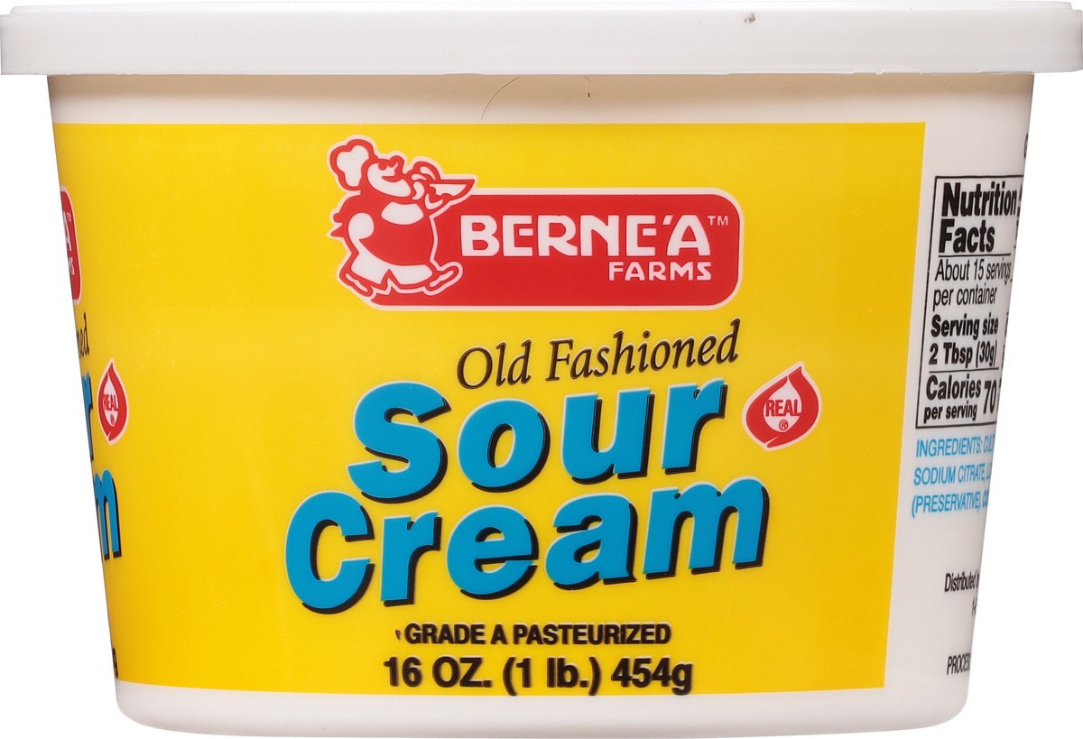 slide 7 of 14, Berne'a Farms Old Fashioned Sour Cream 16 oz, 16 oz