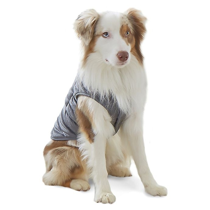 slide 1 of 5, Therapedic Large Weighted Pet Vest - Grey, 1 ct