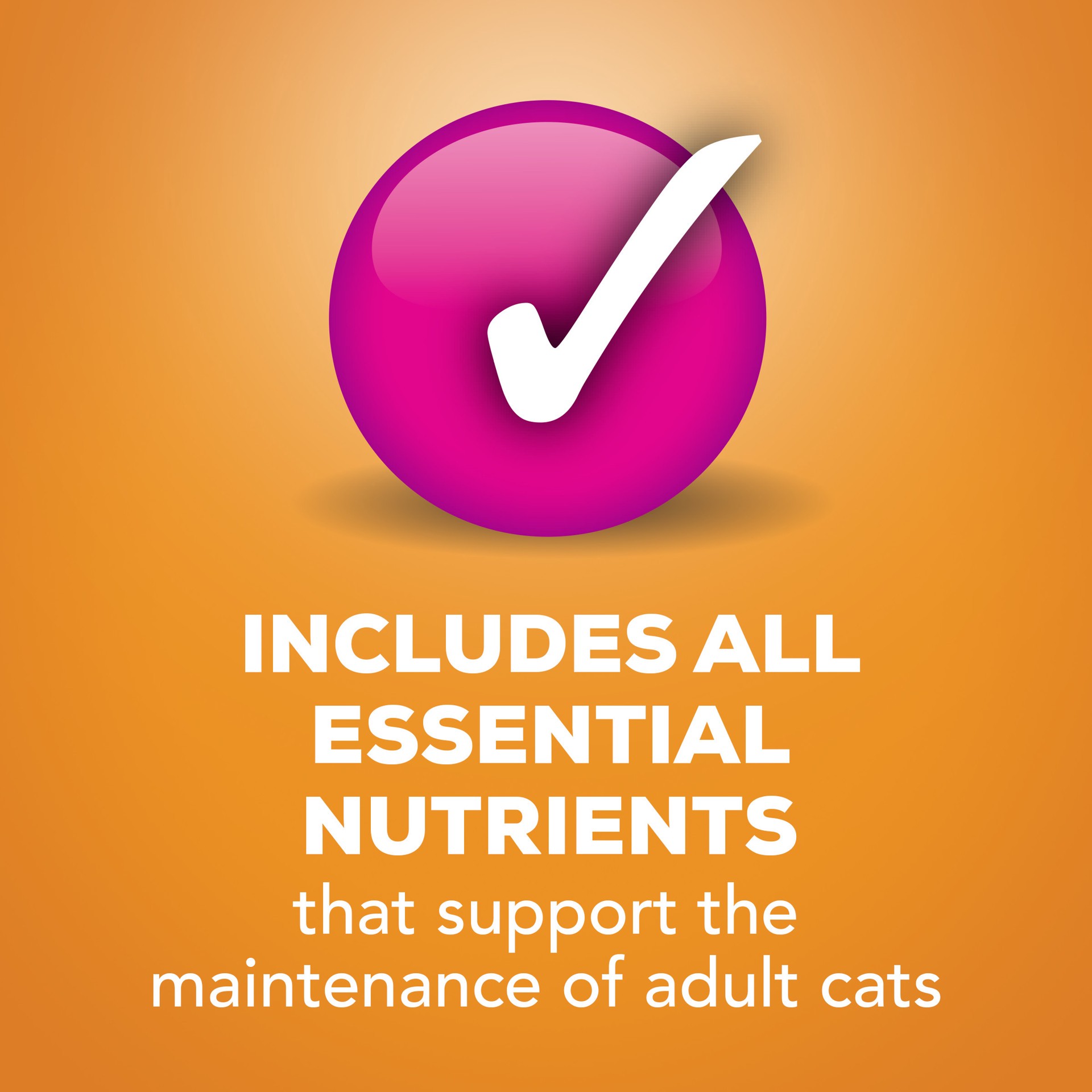 slide 6 of 7, Purina Friskies Paté Wet Cat Food Liver & Chicken Dinner - 5.5oz, 5.5 oz