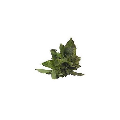 slide 1 of 1, Organic Fresh Basil - Each, 1 ct