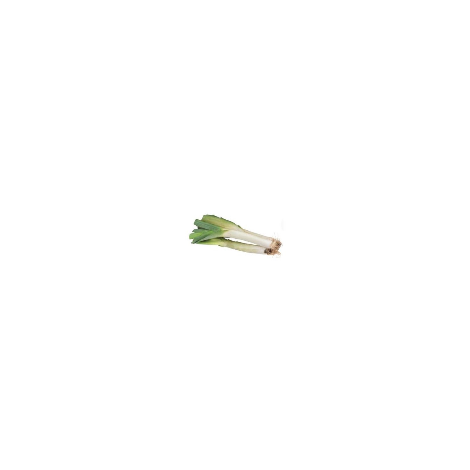 slide 1 of 1, Leeks 1 ea, 1 ct