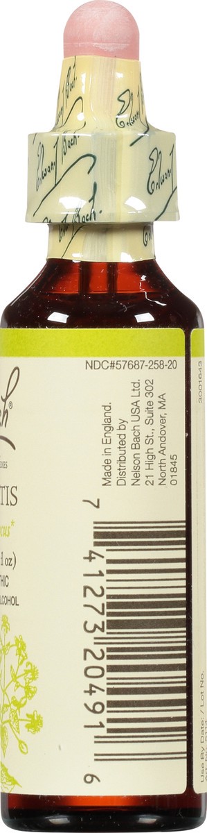 slide 3 of 9, Bach Original Flower Remedies Clematis 0.7 fl oz, 0.7 fl oz