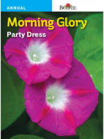 slide 1 of 1, Burpee Morning Glory Party Dress Seeds - Pink, 1 ct