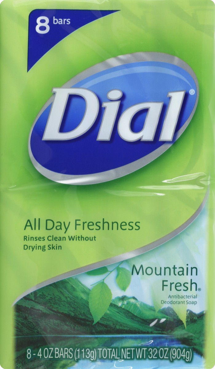 slide 6 of 6, Dial Mountain Fresh Bar Soap, 8 ct