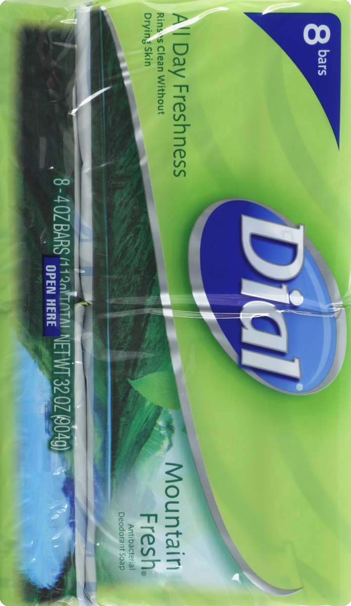 slide 2 of 6, Dial Mountain Fresh Bar Soap, 8 ct