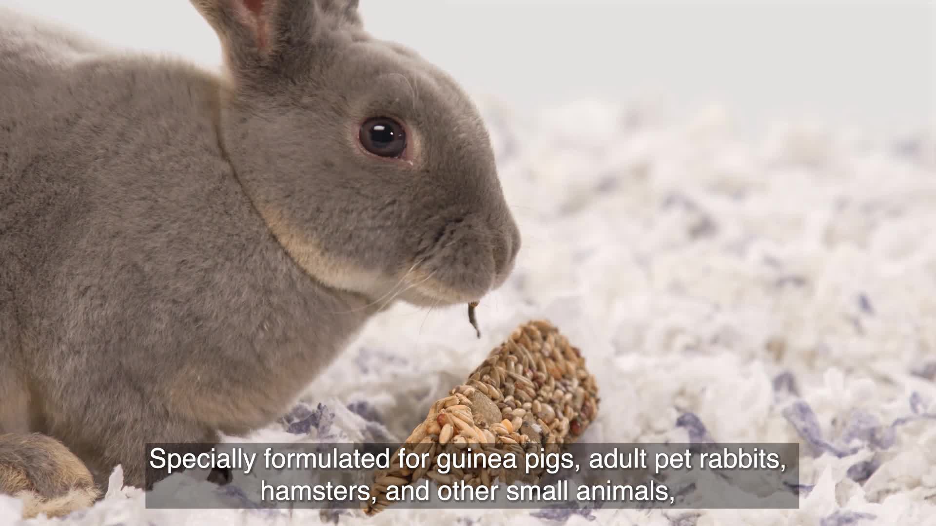 slide 5 of 10, Kaytee Superfood Treat Stick, Strawberry & Flax Seed, 5.5 Ounces, 1 ct