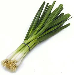 Green Onions Scallions