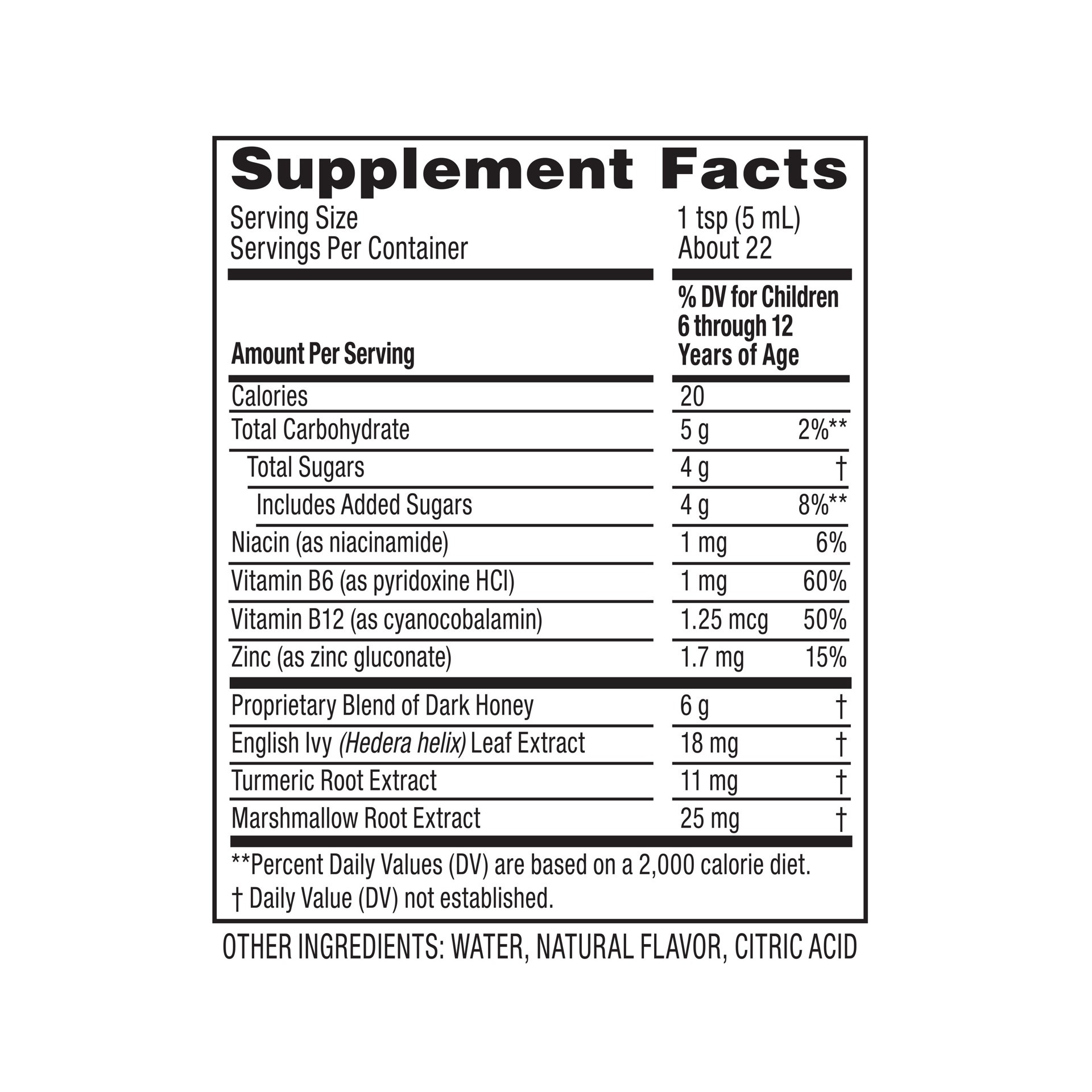 slide 3 of 5, Zarbee's Naturals Zarbee’s Kids All-in-One Daytime Cough, Age 6-12, Honey, Turmeric, B3,6,12 & Zinc, Grape, 4FL Oz, 1 ct