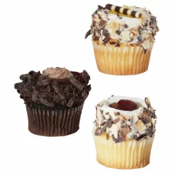 Mega Gourmet Cupcake