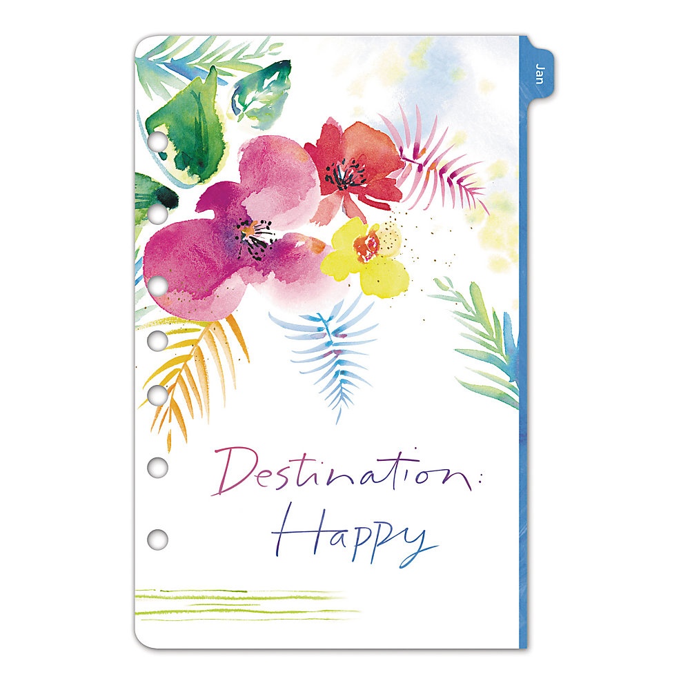 slide 1 of 1, Day-Timer Kathy Davis Appointment Book/Planner Refill, Monthly, Desk Size (Size 4), 5-1/2'' X 8-1/2'', January To December 2020, 1 ct