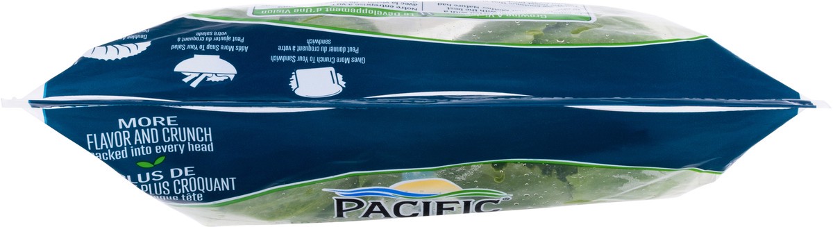 slide 2 of 11, Pacific Petite Romaine Lettuce Heads 2 ea, 2 ct
