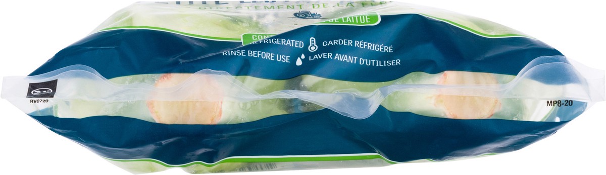 slide 7 of 11, Pacific Petite Romaine Lettuce Heads 2 ea, 2 ct