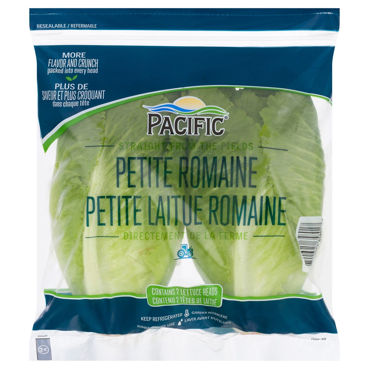 slide 4 of 11, Pacific Petite Romaine Lettuce Heads 2 ea, 2 ct