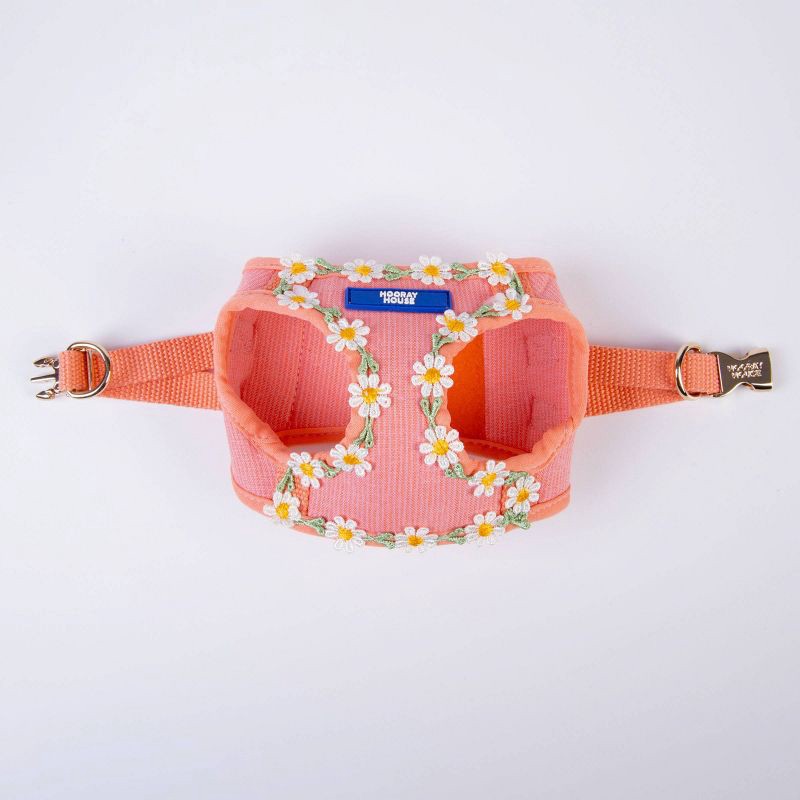 slide 1 of 6, Hooray House Daisy Dog Harness - XS, 1 ct