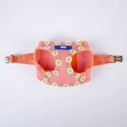 Hooray House Daisy Dog Harness - XS