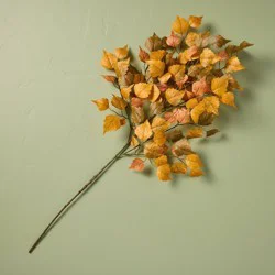 Hearth & Hand with Magnolia 36" Fall Cottonwood XL Stem - Hearth & Hand™ with Magnolia