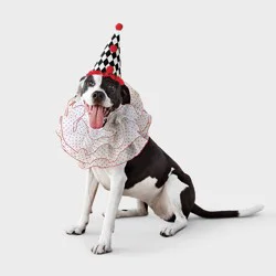 Clown Dog Costume - Boots & Barkley™ L/XL