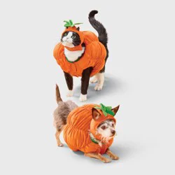 Pumpkin Dog Full Body Costume - Boots & Barkley™ S