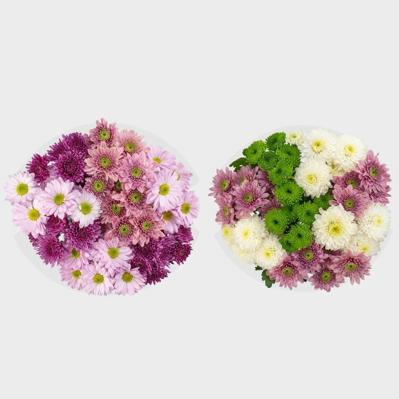 slide 3 of 3, Fresh Cut Valentine's Day Rainbow Pomp Flower Bouquet - Good Little Garden™, 1 ct