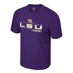 NCAA LSU Tigers Men's Heather T-Shirt - XXL