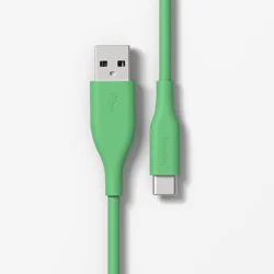 10' USB-C to USB-A Silicone Cable - heyday™ ️Apple Green