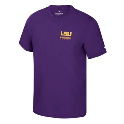 NCAA LSU Tigers Men's Two-Hit T-Shirt - XXL